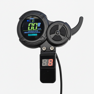 Elektro Flash S Display